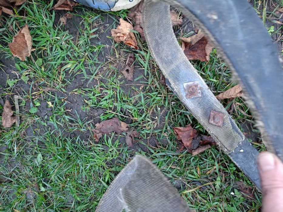 Привязь упряж поводок