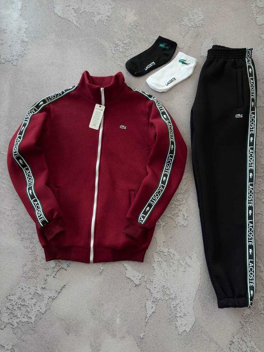 Чоловічий зимній спортивний костюм на флісі лакоста Lacoste [S-XXL]