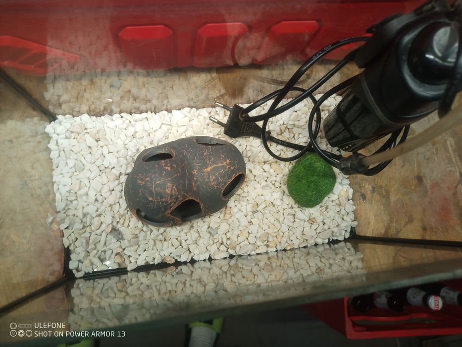 Akwarium + akcesoria 5 litrów