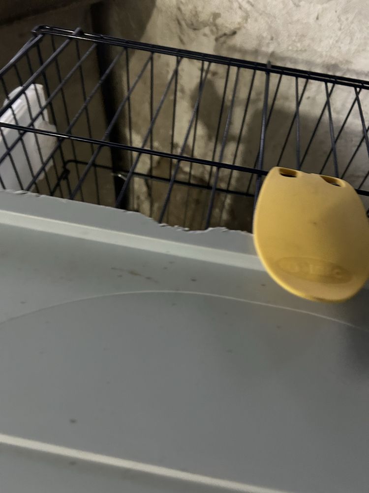 Casota animal grande
