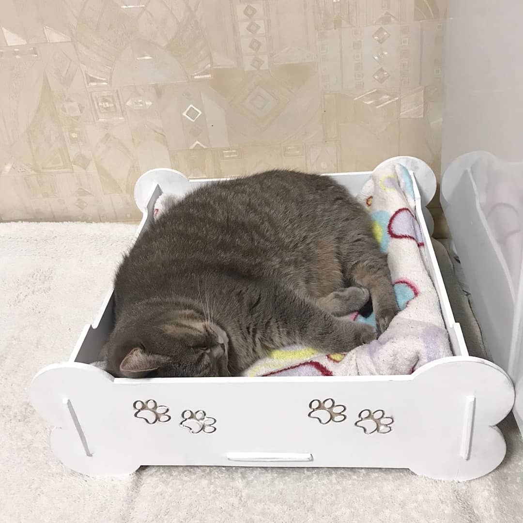 Лежанка для котиков