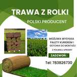 Trawa z rolki premium, sprzedaż, transport pod dom, polska produkcja