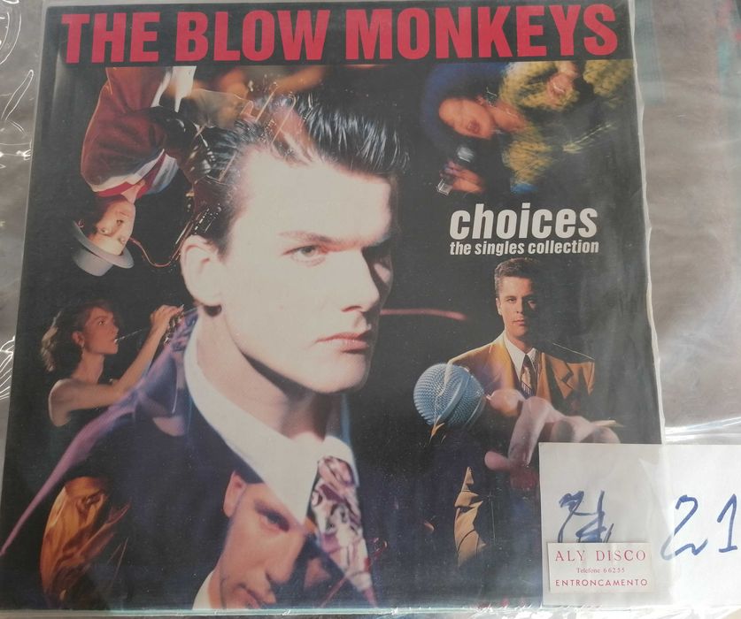 Vinis LPs, discos de vinil, lote nº21, cada 5€ e todos por 20€