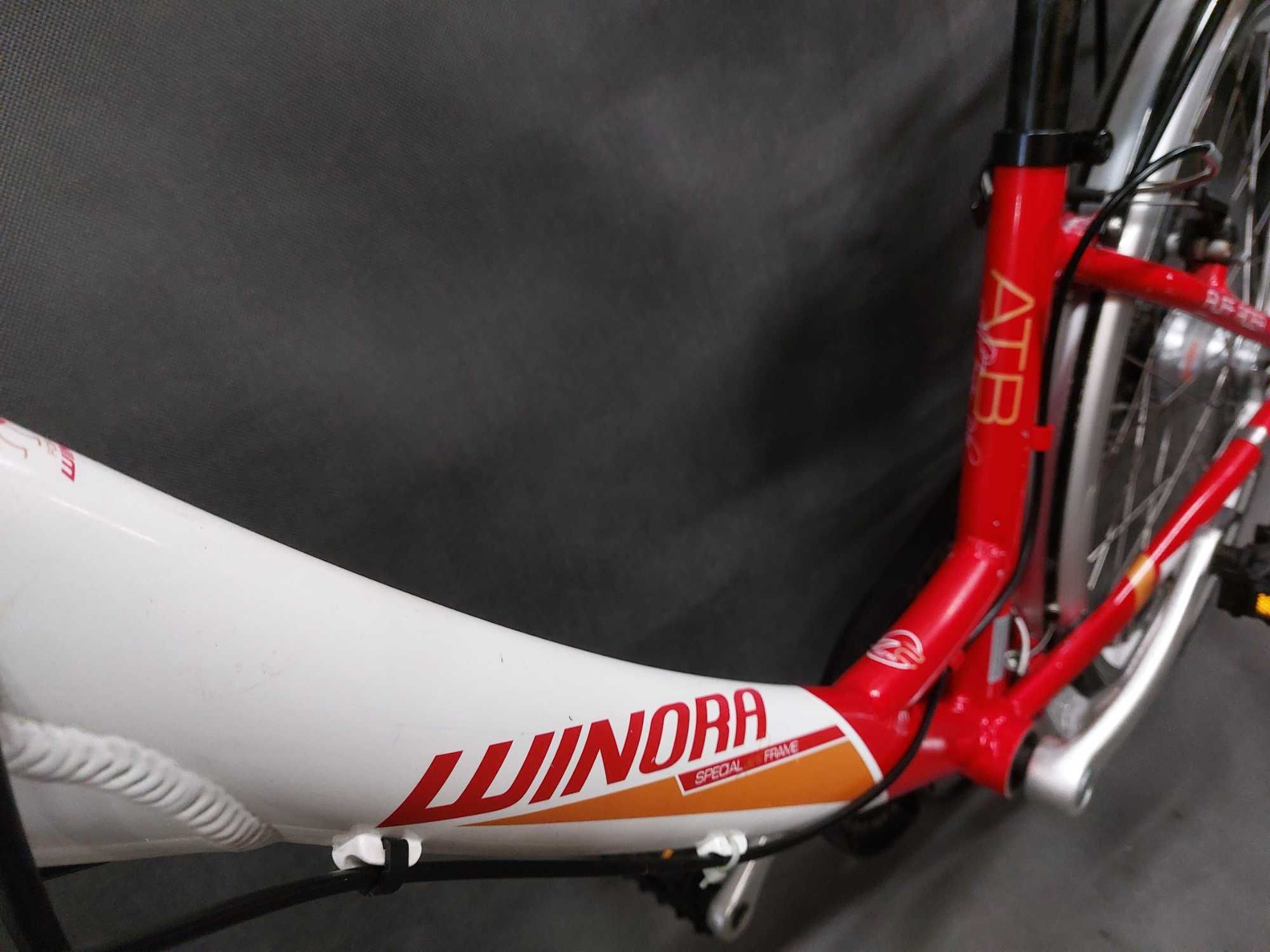 Rower dziecięcy Winora Ruff Rider_Alu_24"_Shimano_Nexus