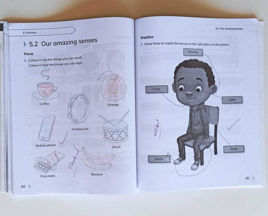 Cambridge Primary Science Workbook 1