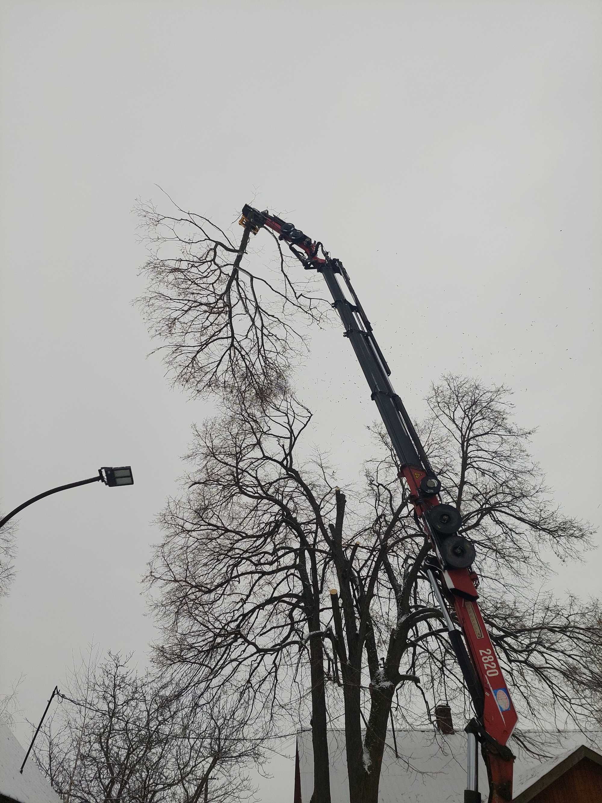 Wycinka drzew przycinanie korony ,ogławianie za pomocą chwytaka z piłą