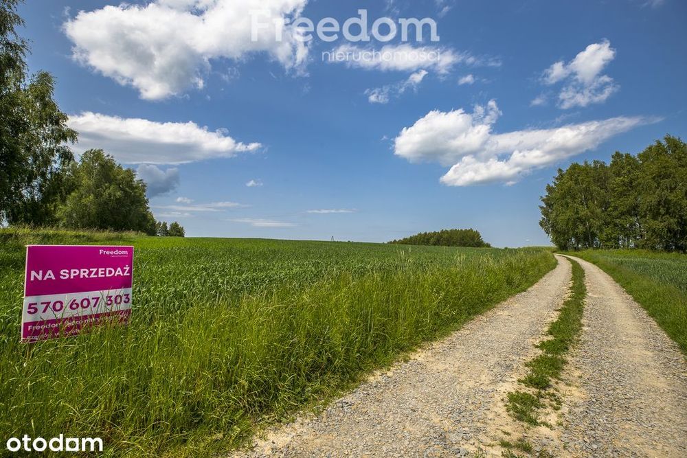 Działka siedliskowa 46 ar – Strzyżów okolice