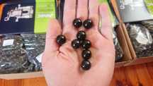 Kulki do procy szkło 1,5 mm