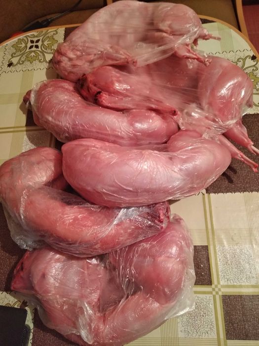 Тушки кролика.свіже м'ясо