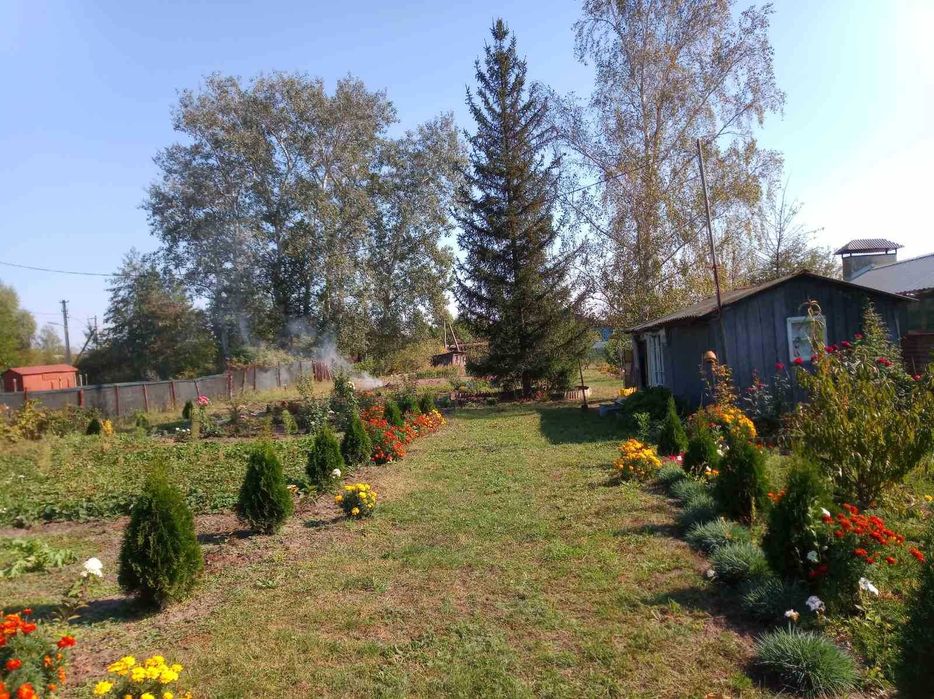 Облагороджена дачна ділянка з садовим будинком!