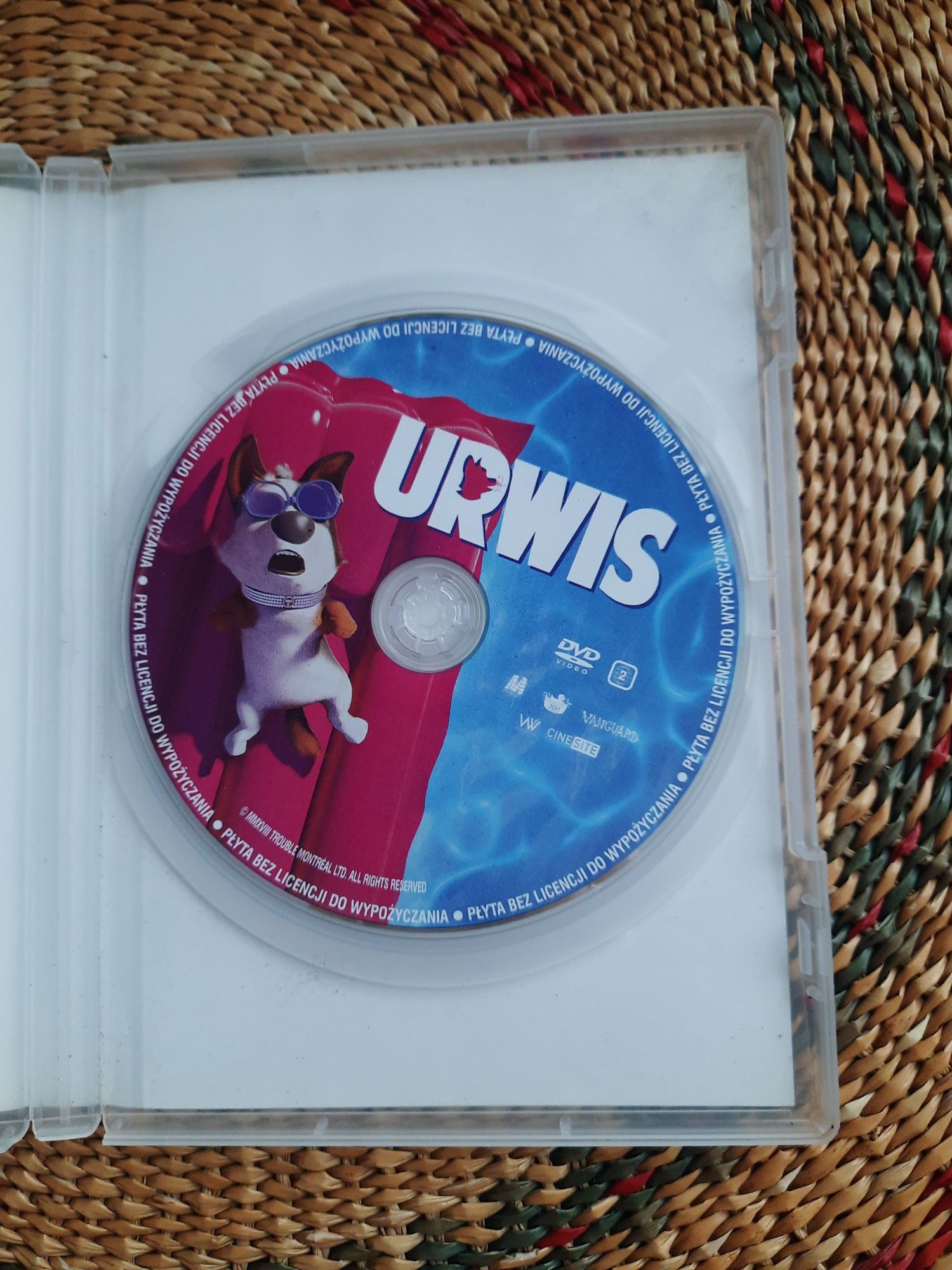 DVD z bajką Urwis