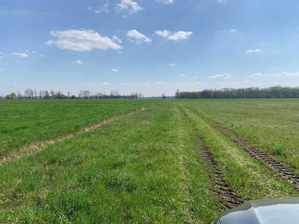 Łąka Uścięcice - 4 100 m2