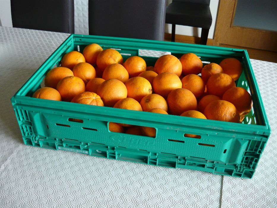 Cabaz de fruta - Laranja - do Pinhão - Região do Douro