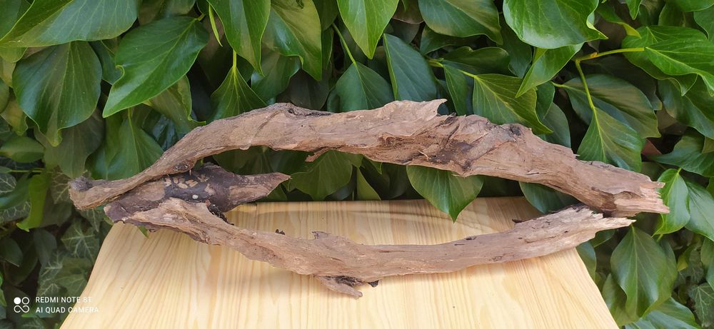 Bardzo duże drewno do akwarium-60 cm+ grati mech