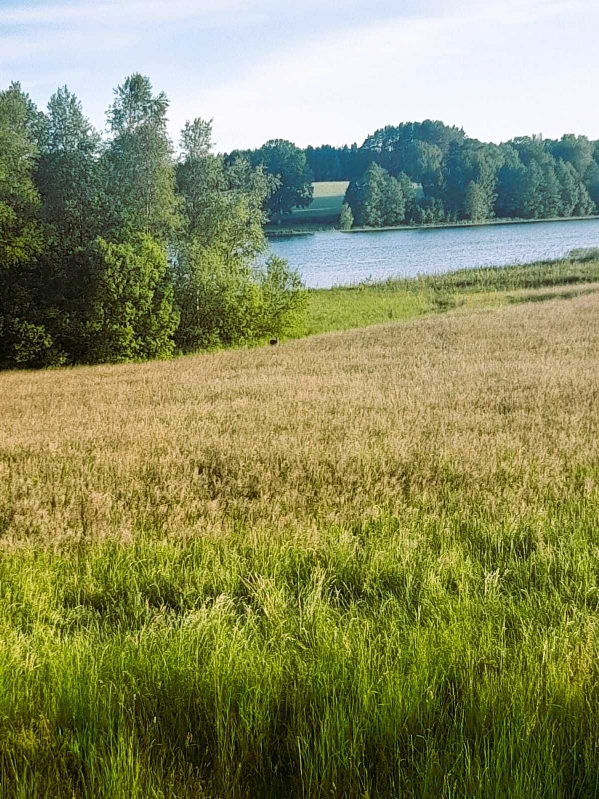 Domek na Kaszubach