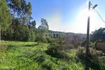 Terreno, Luso