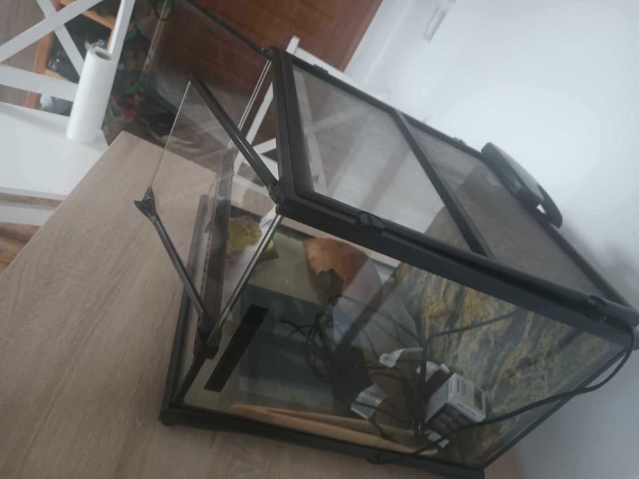 Terrarium typowo dla Gekona