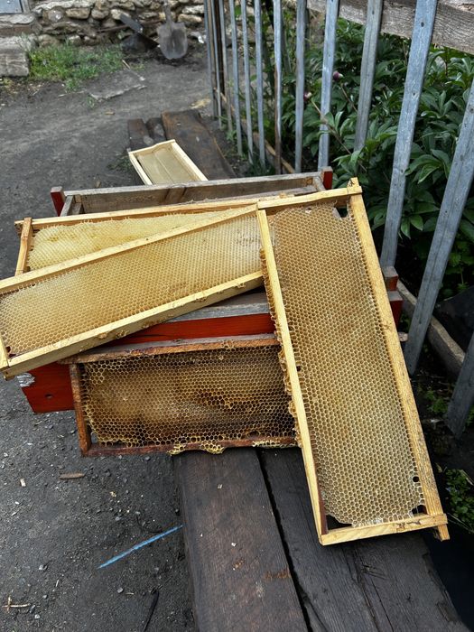 Рамки 145 300 продам