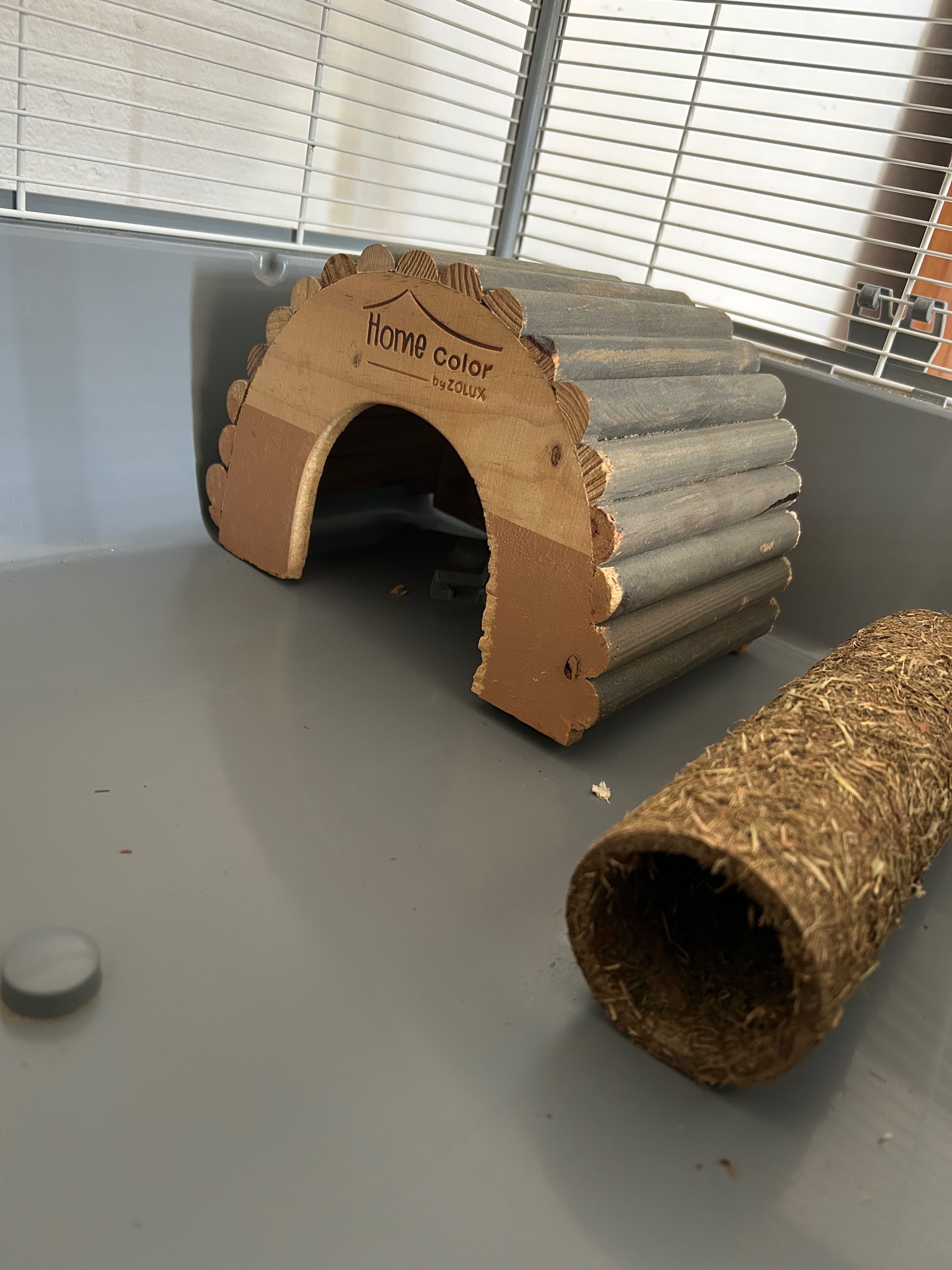 Gaiola para Hamster mais acessórios