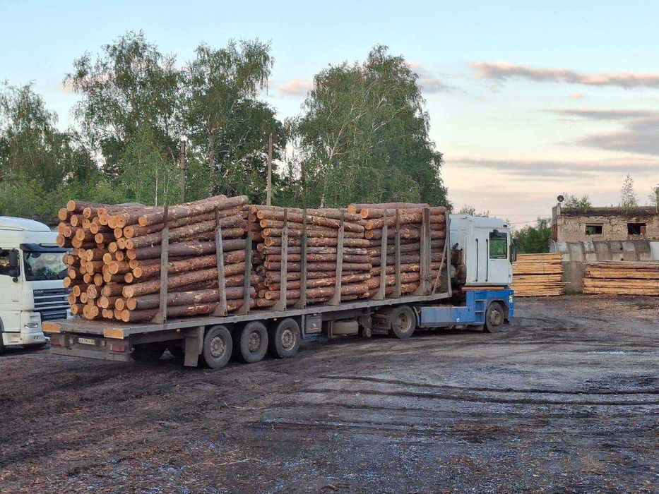 Ділова сосна — пиловочник. З документами та ПДВ. Сорт B, C. Доставка