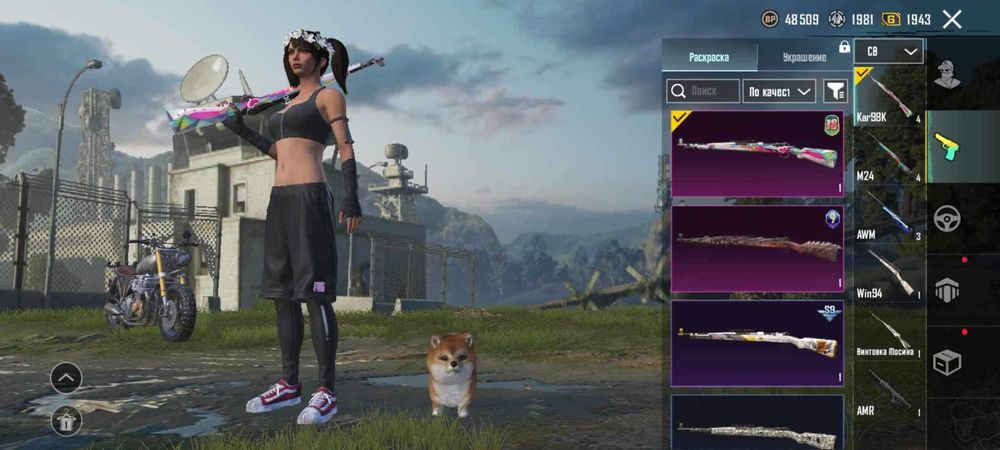 PUBG mobile Account