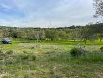 Terreno Rustico em cabeceira de Apra- Loule