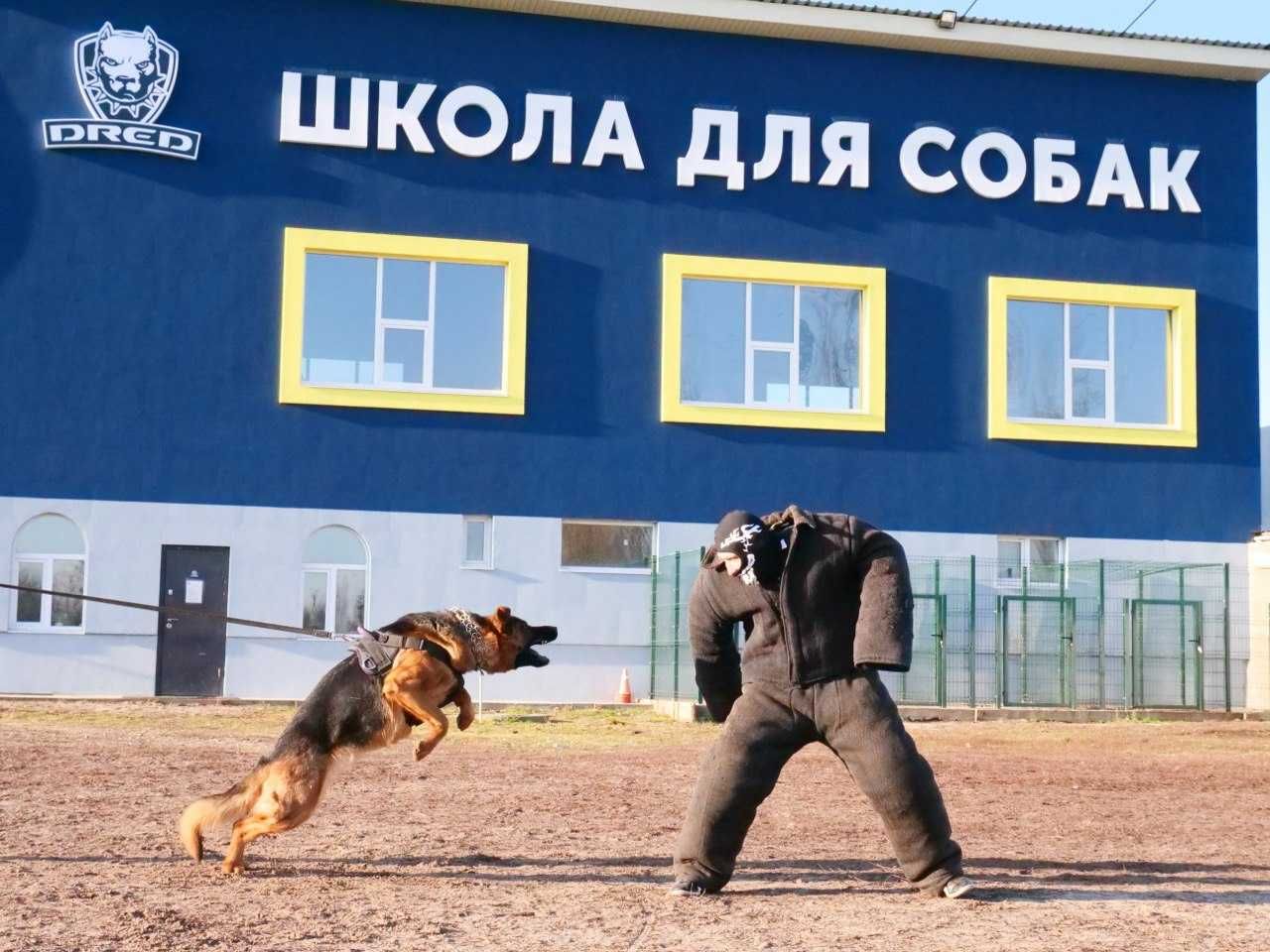 Школа Дресирування виховання Собак Бровари з проживанням  Кінолог