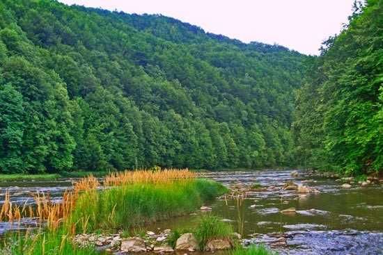 Domki, Nad Rzeką Solinką.Bukowiec, Bieszczady