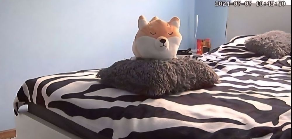 Kamera obrotowa wifi niania elektroniczna