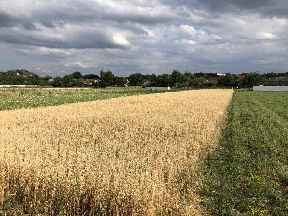 Продаж / Земля/Чукалівка / Франківськ