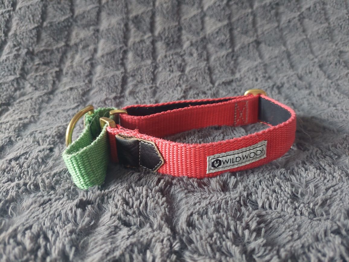 Obroża martingale WildWoof