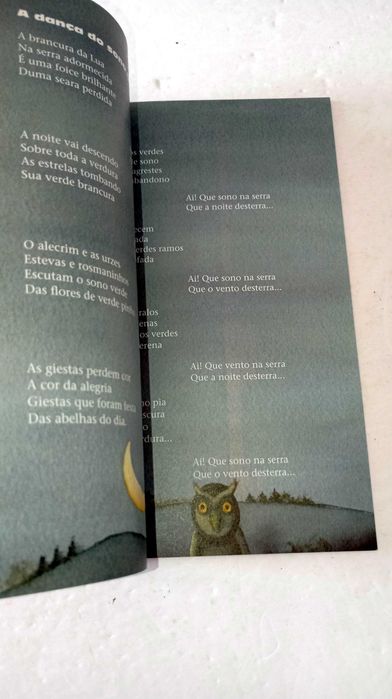 As fadas Verdes - Porto editora
