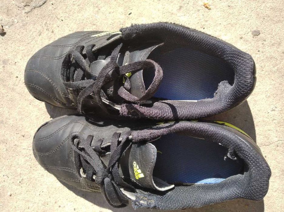 Сороконіжки футбольні, 35 розмір