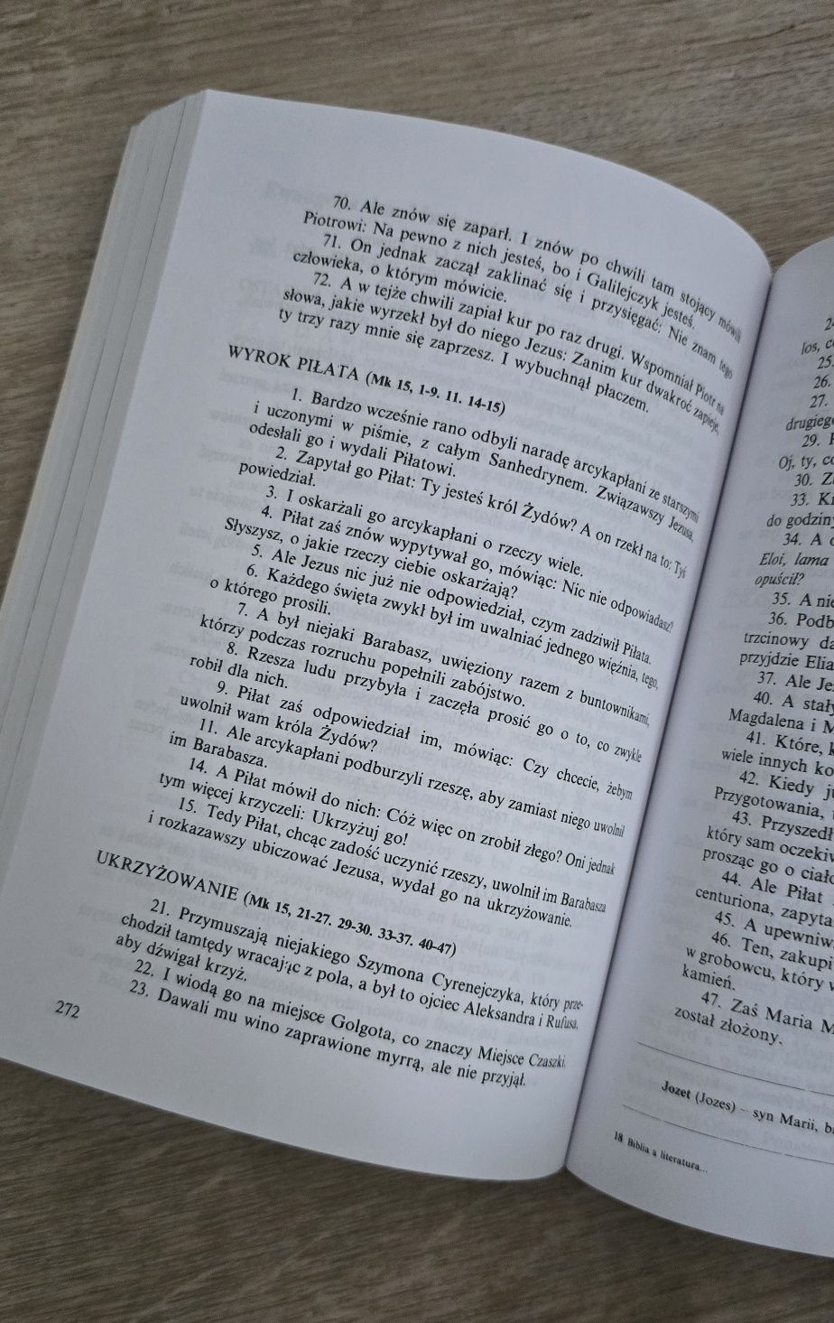 Biblia a literatura polska ks.kazimierz bukowski