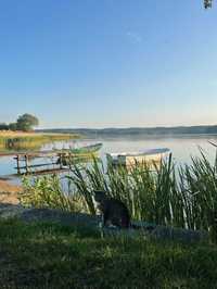 Bory Tucholskie | Domek nad jeziorem WOLNE TERMINY