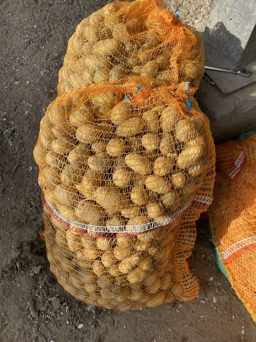 Ziemniak odpadowy 20gr/kg