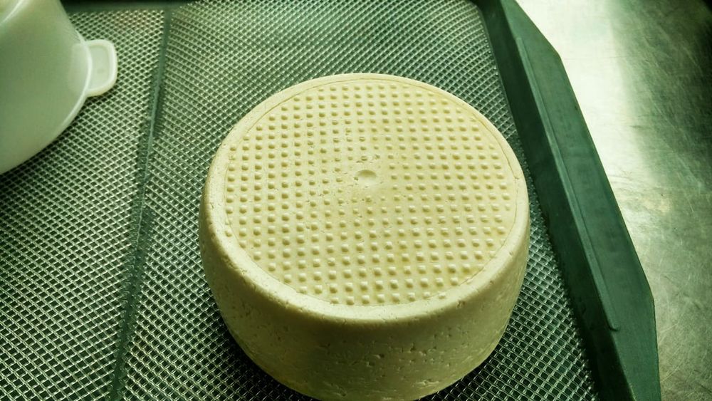 Продукція з козиного молока, сири тверді/м'які, творог,вершки