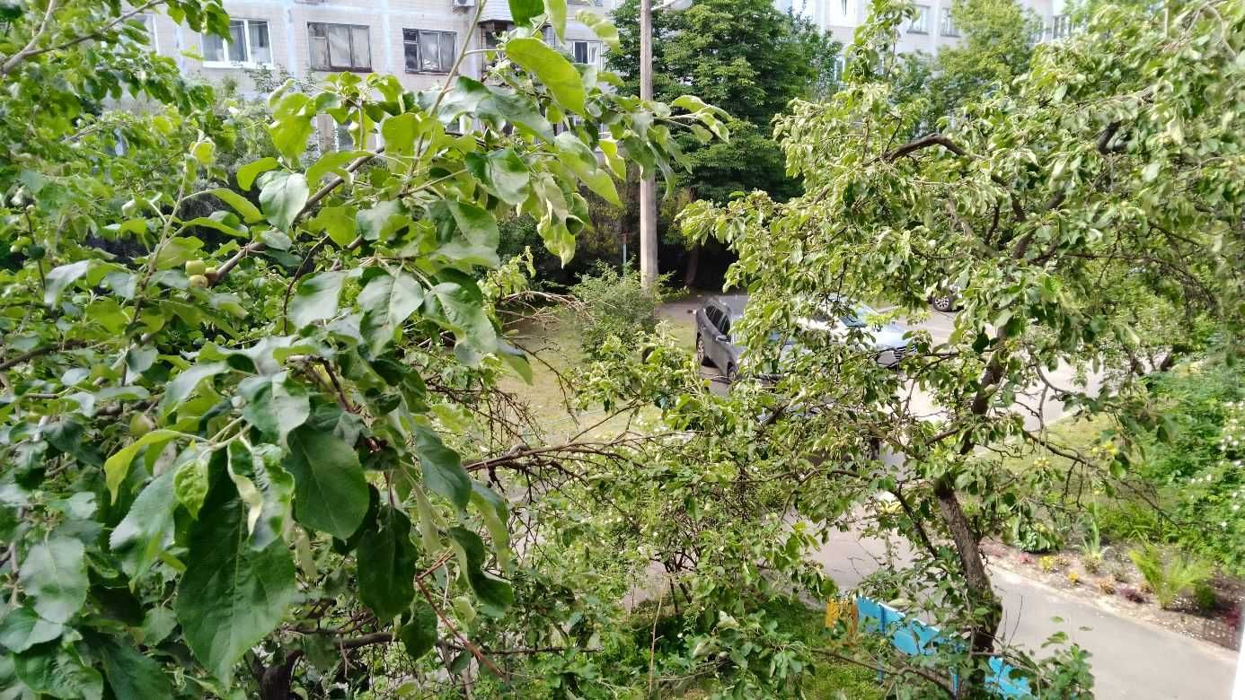 Продам двосторонню двокімнатну на Кубанській Україні (Жукова), 19.