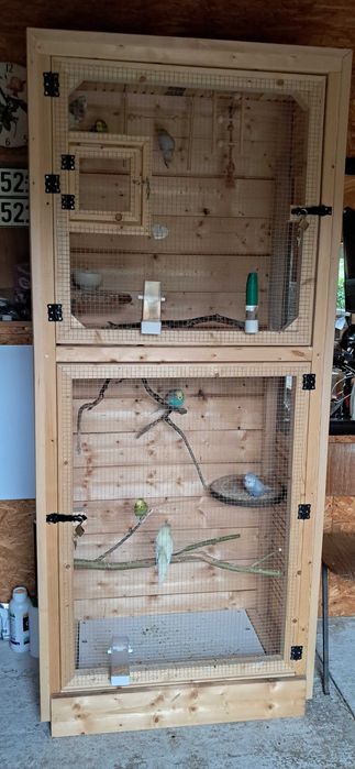 Woliera papugi faliste