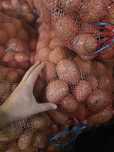 Vendo Batatas a 0,85€ o quilo (Kg) - 17€/20Kg - "A Avó Mimi".