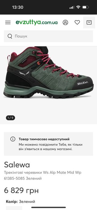 Трекінгові черевики Salewa