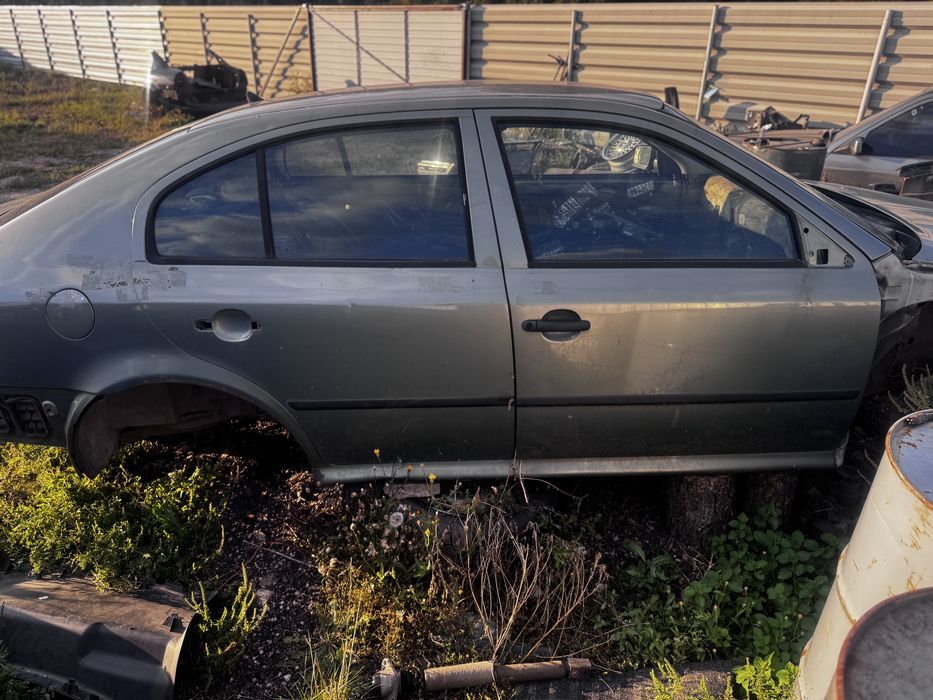 Двері Шкода тур Skoda tur