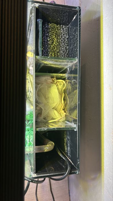 PILENE sprzecam akwariwum