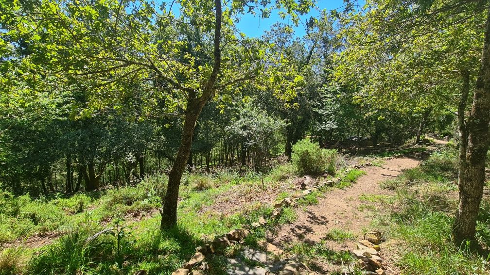 Terreno com várias ruínas na Serra de Lousã