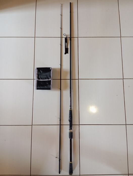 Спинінг Флагман Арті