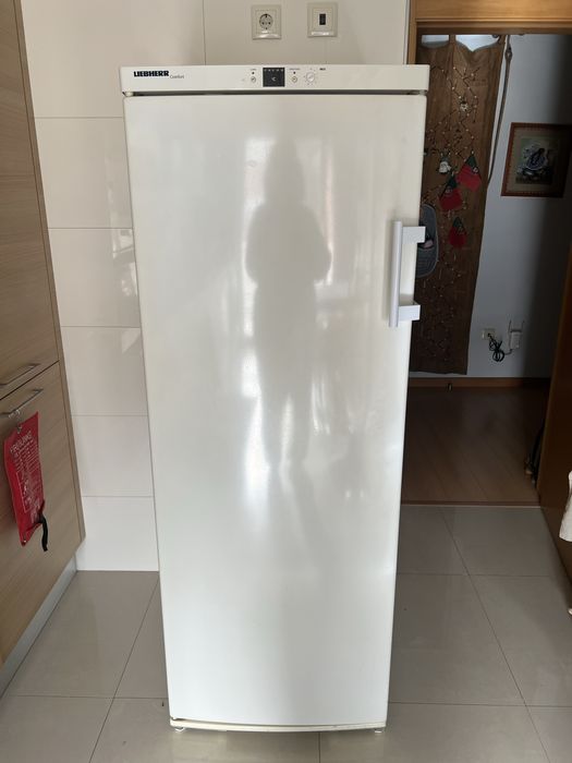 Arca congeladora LIEBHERR