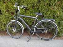 Rower Holenderski Altec Walesa