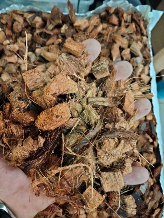 Chips kokosowy terrarium 4l WOREK gotowy do użycia___WYSYŁKA_24