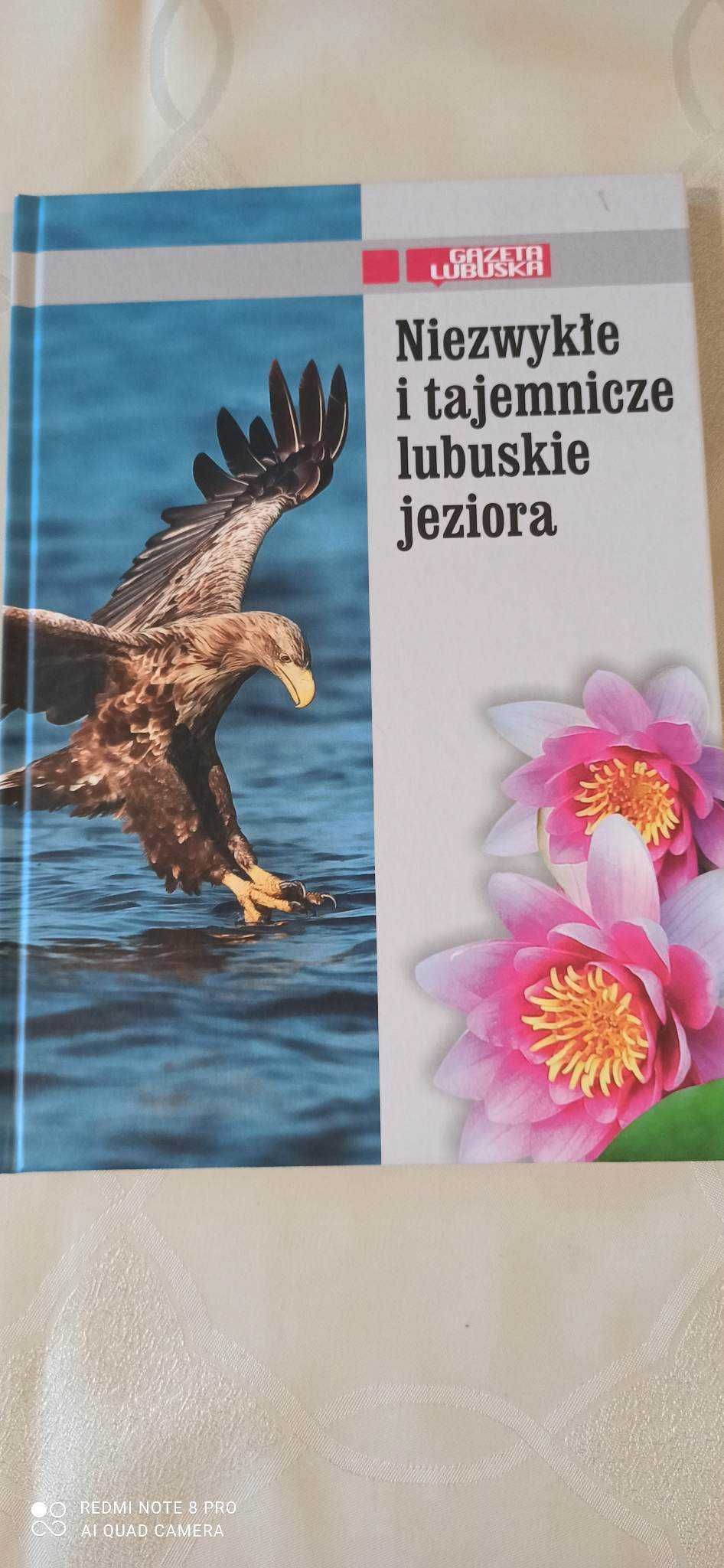 Niezwykłe i tajemnicze lubuskie jeziora