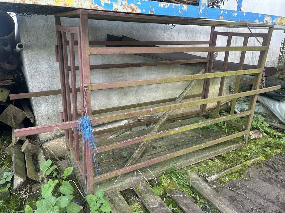 Klatka na świnie - trzoda chlewna transport